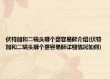 伏特加和二锅头哪个更容易醉介绍(伏特加和二锅头哪个更容易醉详细情况如何)