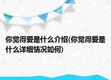 你觉得爱是什么介绍(你觉得爱是什么详细情况如何)