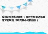 胶州动物医院哪家好（在胶州如何选择好的宠物医院 送给喜爱小动物的你）