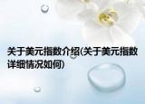 关于美元指数介绍(关于美元指数详细情况如何)
