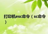打印机esc命令（sc命令）