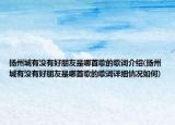 扬州城有没有好朋友是哪首歌的歌词介绍(扬州城有没有好朋友是哪首歌的歌词详细情况如何)