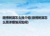 微博树洞怎么找介绍(微博树洞怎么找详细情况如何)