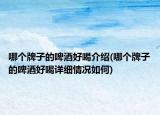 哪个牌子的啤酒好喝介绍(哪个牌子的啤酒好喝详细情况如何)