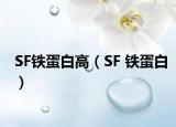 SF铁蛋白高（SF 铁蛋白）