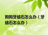 狗狗牙结石怎么办（牙结石怎么办）