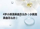 4岁小孩流鼻血怎么办（小孩流鼻血怎么办）
