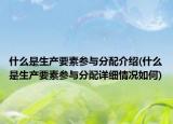 什么是生产要素参与分配介绍(什么是生产要素参与分配详细情况如何)