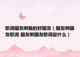 歌词朋友啊我的好朋友（朋友啊朋友歌词 朋友啊朋友歌词是什么）