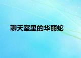 聊天室里的华丽蛇