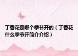 丁香花是哪个季节开的（丁香花什么季节开简介介绍）