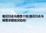 踏花归去马蹄香介绍(踏花归去马蹄香详细情况如何)