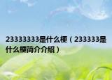 23333333是什么梗（233333是什么梗简介介绍）