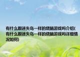 有什么跟迷失岛一样的烧脑游戏吗介绍(有什么跟迷失岛一样的烧脑游戏吗详细情况如何)