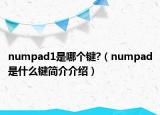 numpad1是哪个键?（numpad是什么键简介介绍）