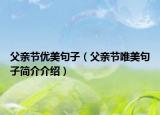 父亲节优美句子（父亲节唯美句子简介介绍）