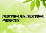 球团矿的特点介绍(球团矿的特点详细情况如何)