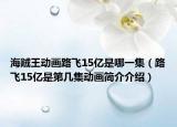 海贼王动画路飞15亿是哪一集（路飞15亿是第几集动画简介介绍）