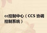 cc控制中心（CCS 协调控制系统）