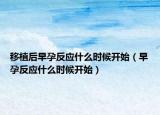 移植后早孕反应什么时候开始（早孕反应什么时候开始）