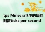 tps Minecraft中的每秒刻数ticks per second