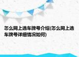 怎么网上选车牌号介绍(怎么网上选车牌号详细情况如何)