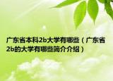 广东省本科2b大学有哪些（广东省2b的大学有哪些简介介绍）