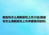 数据包怎么用数据包上传介绍(数据包怎么用数据包上传详细情况如何)