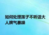 如何处理孩子不听话大人脾气暴躁
