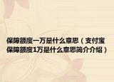 保障额度一万是什么意思（支付宝保障额度1万是什么意思简介介绍）