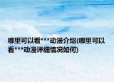 哪里可以看***动漫介绍(哪里可以看***动漫详细情况如何)