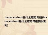 transcendent是什么意思介绍(transcendent是什么意思详细情况如何)