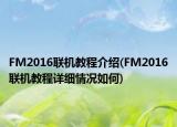 FM2016联机教程介绍(FM2016联机教程详细情况如何)
