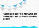 托玛琳石是什么东西(为什么会自己发热呢介绍 托玛琳石是什么东西 为什么会自己发热呢详细情况如何)