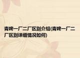 青啤一厂二厂区别介绍(青啤一厂二厂区别详细情况如何)