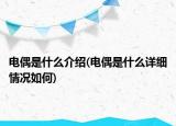 电偶是什么介绍(电偶是什么详细情况如何)