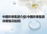 中国环保集团介绍(中国环保集团详细情况如何)