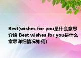 Best(wishes for you是什么意思介绍 Best wishes for you是什么意思详细情况如何)