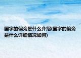 国字的偏旁是什么介绍(国字的偏旁是什么详细情况如何)