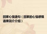 回家心情语句（回家的心情感慨语录简介介绍）