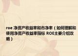 roe 净资产收益率和市净率（如何理解和使用净资产收益率指标 ROE主要介绍攻略）