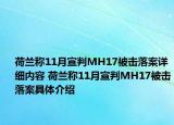 荷兰称11月宣判MH17被击落案详细内容 荷兰称11月宣判MH17被击落案具体介绍