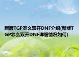 新版TGP怎么双开DNF介绍(新版TGP怎么双开DNF详细情况如何)