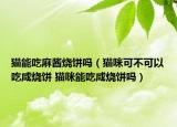 猫能吃麻酱烧饼吗（猫咪可不可以吃咸烧饼 猫咪能吃咸烧饼吗）
