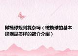 橄榄球规则复杂吗（橄榄球的基本规则是怎样的简介介绍）