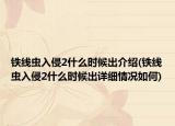 铁线虫入侵2什么时候出介绍(铁线虫入侵2什么时候出详细情况如何)