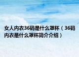 女人内衣36码是什么罩杯（36码内衣是什么罩杯简介介绍）