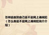 怎样能查到自己是不是网上通缉犯（怎么查是不是网上通缉犯简介介绍）