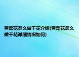 黄莺花怎么做干花介绍(黄莺花怎么做干花详细情况如何)