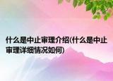 什么是中止审理介绍(什么是中止审理详细情况如何)